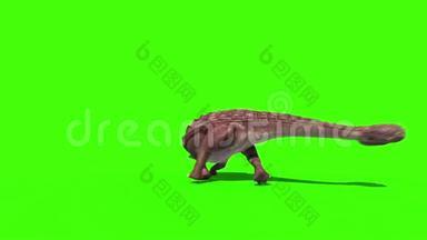 恐龙攻击环前3D动画绿幕侏罗纪公园